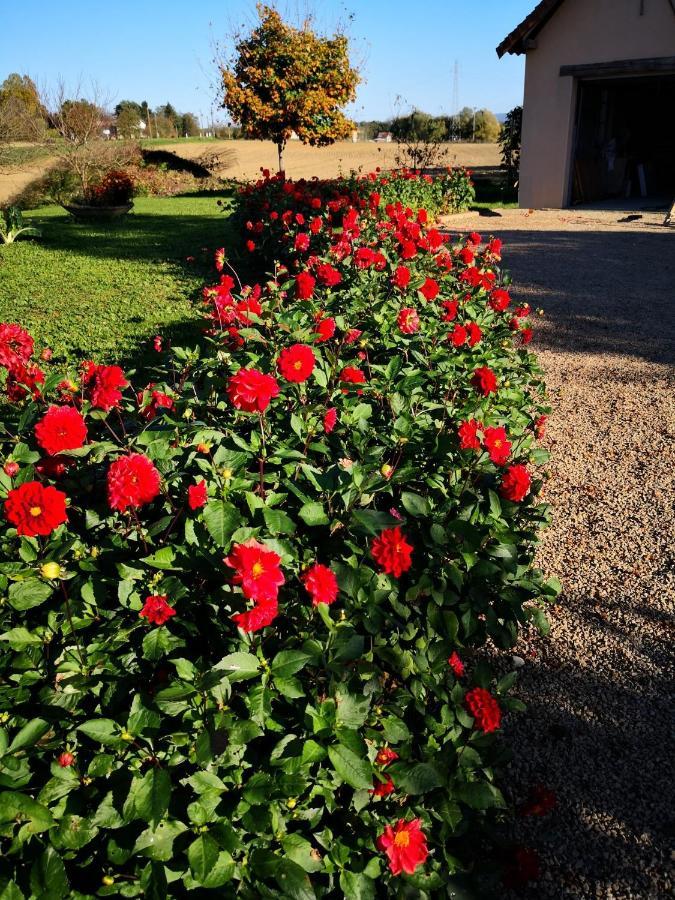 Bed and Breakfast La Ferme De La Terve Bruailles Zewnętrze zdjęcie