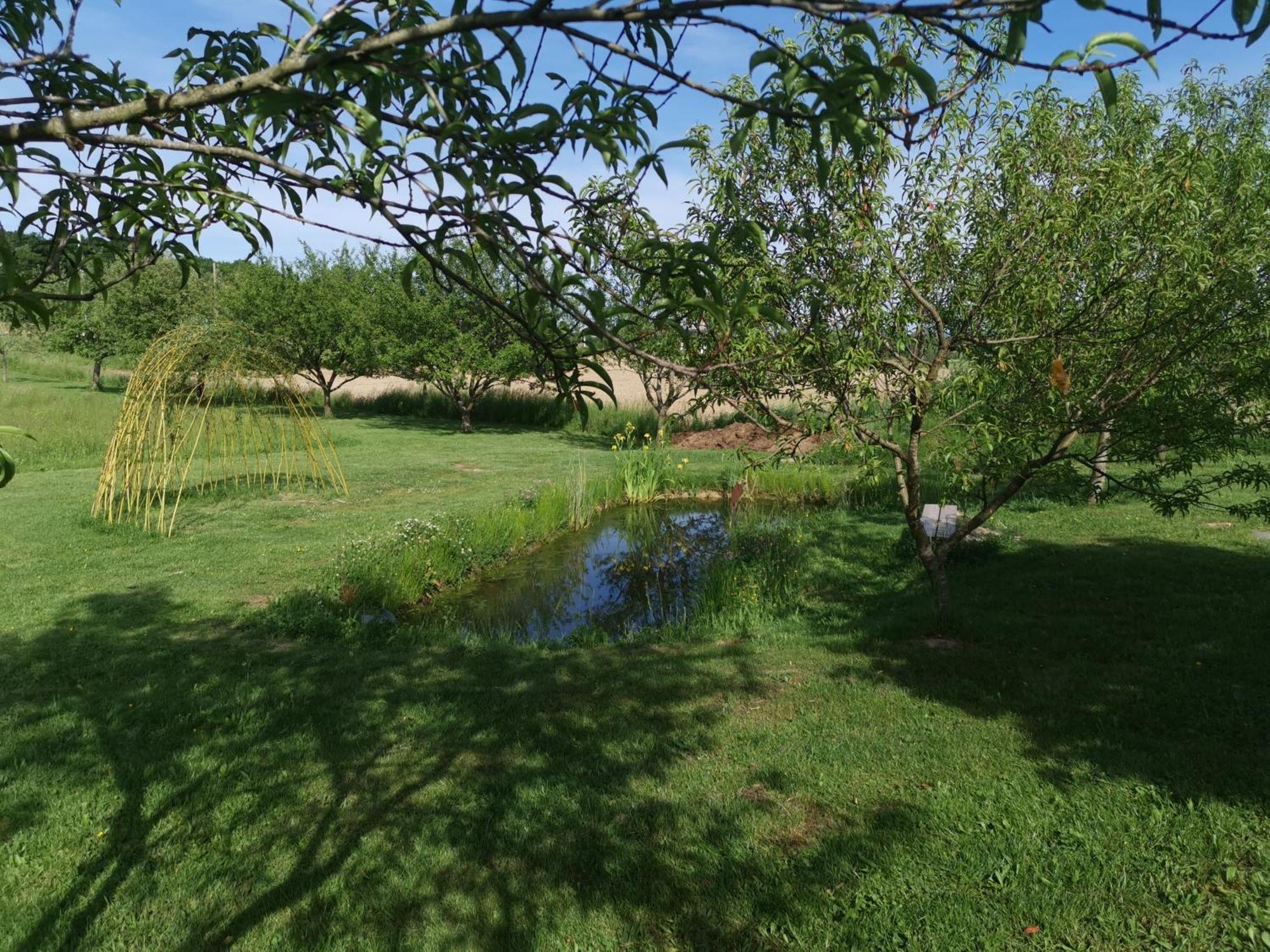 Bed and Breakfast La Ferme De La Terve Bruailles Zewnętrze zdjęcie